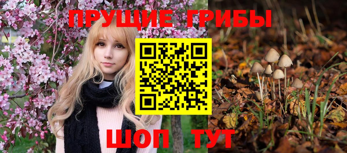A PVP Советская Гавань